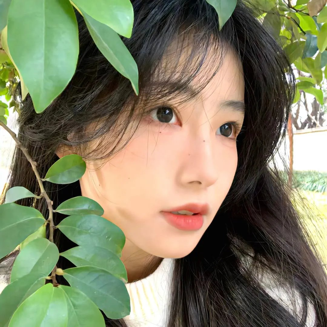 我的二十世纪